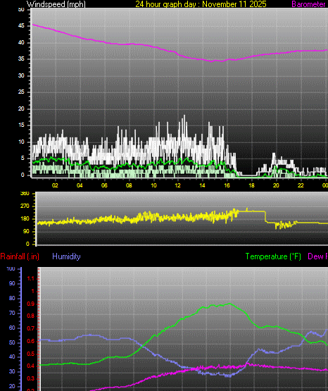 24 Hour Graph for Day 11