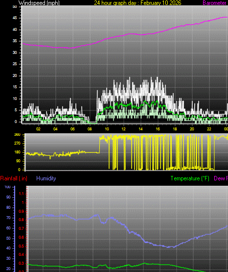 24 Hour Graph for Day 10