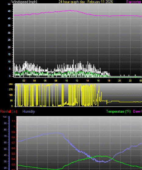 24 Hour Graph for Day 11