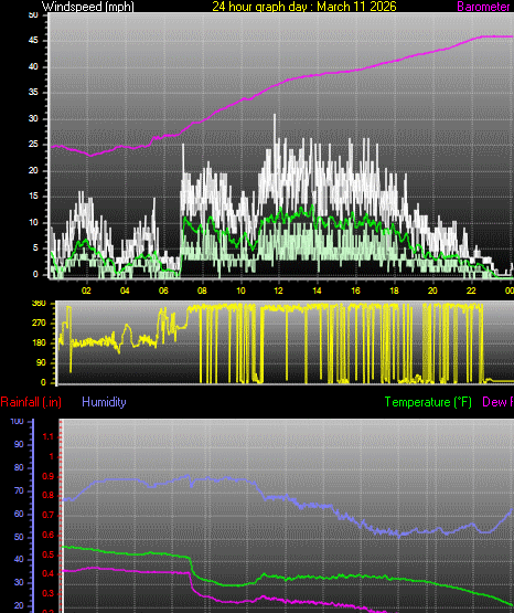 24 Hour Graph for Day 11