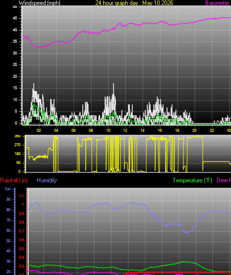 24 Hour Graph for Day 10