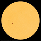 SDO/HMI Continuum Image of the Sun